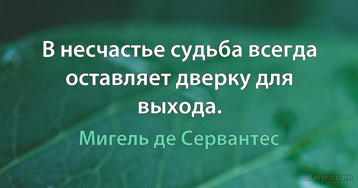 В несчастье судьба всегда оставляет дверку для выхода. (Мигель де Сервантес)