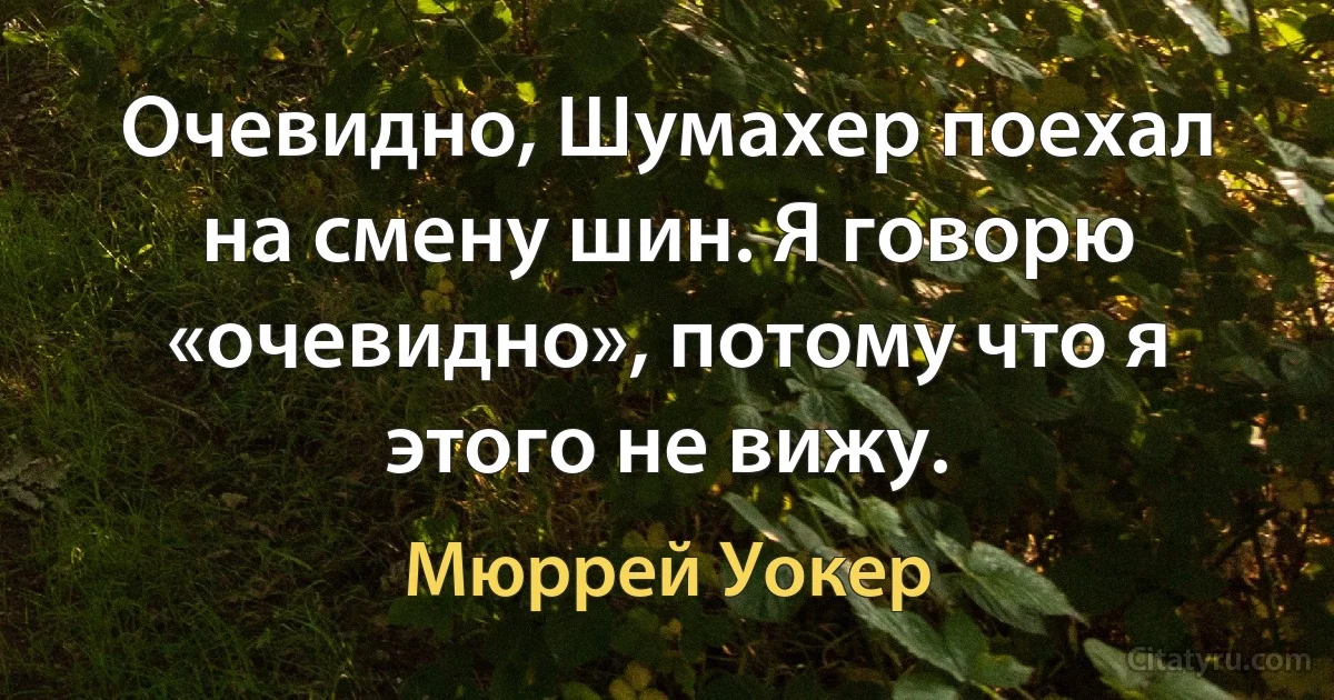 Очевидно, Шумахер поехал на смену шин. Я говорю «очевидно», потому что я этого не вижу. (Мюррей Уокер)