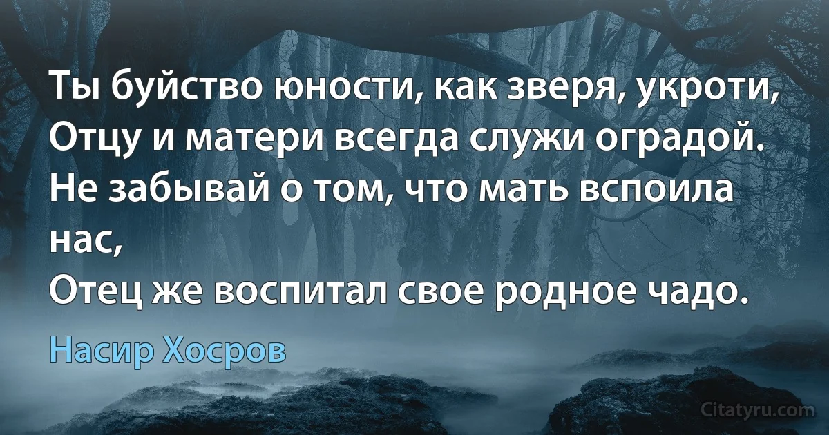 Ты буйство юности, как зверя, укроти,
Отцу и матери всегда служи оградой.
Не забывай о том, что мать вспоила нас,
Отец же воспитал свое родное чадо. (Насир Хосров)