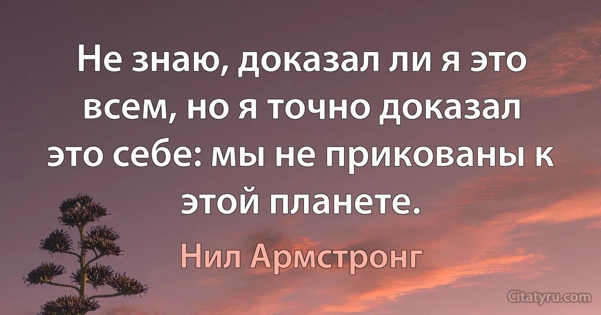 Не знаю, доказал ли я это всем, но я точно доказал это себе: мы не прикованы к этой планете. (Нил Армстронг)