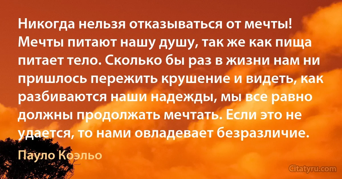 Никогда нельзя отказываться от мечты! Мечты питают нашу душу, так же как пища питает тело. Сколько бы раз в жизни нам ни пришлось пережить крушение и видеть, как разбиваются наши надежды, мы все равно должны продолжать мечтать. Если это не удается, то нами овладевает безразличие. (Пауло Коэльо)