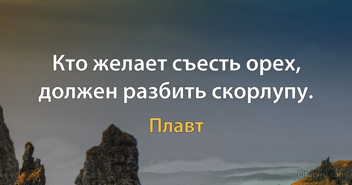 Кто желает съесть орех, должен разбить скорлупу. (Плавт)