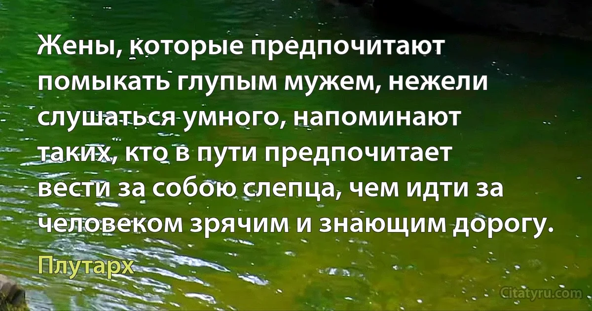 Жены, которые предпочитают помыкать глупым мужем, нежели слушаться умного, напоминают таких, кто в пути предпочитает вести за собою слепца, чем идти за человеком зрячим и знающим дорогу. (Плутарх)