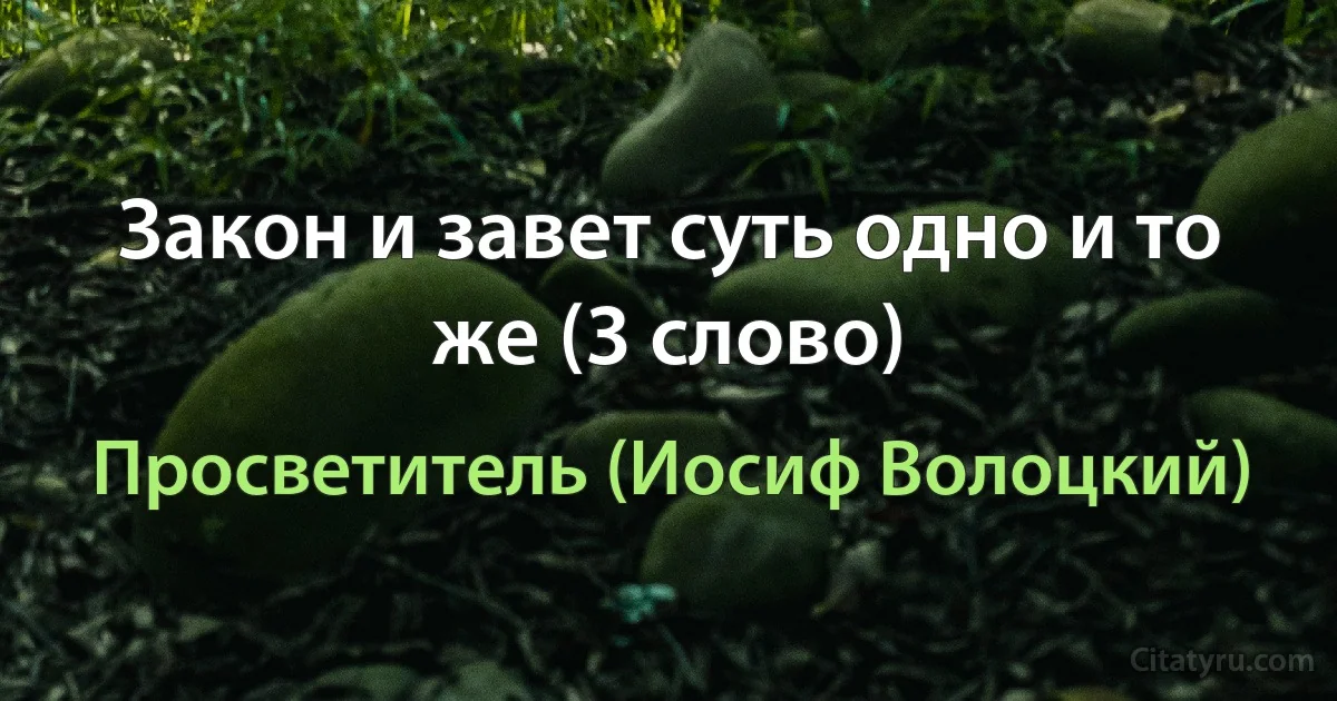 Закон и завет суть одно и то же (3 слово) (Просветитель (Иосиф Волоцкий))