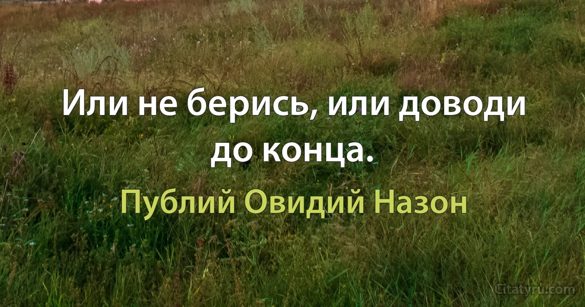 Или не берись, или доводи до конца. (Публий Овидий Назон)