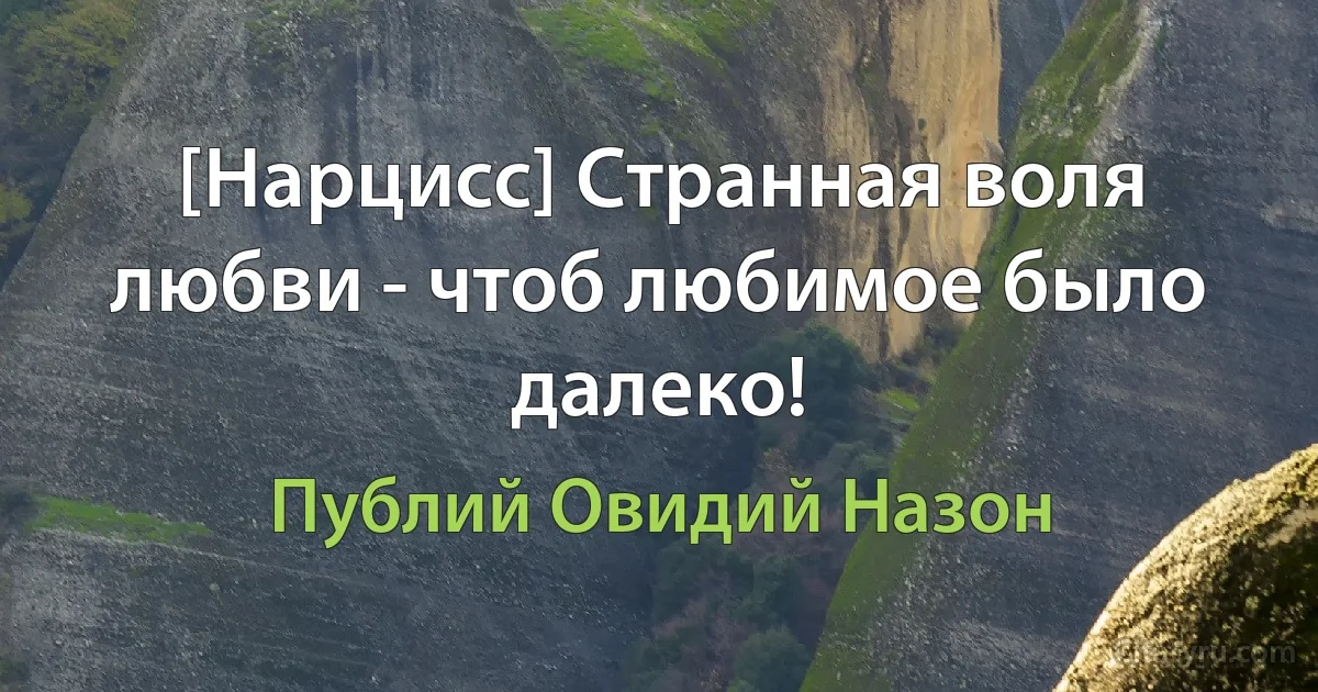 [Нарцисс] Странная воля любви - чтоб любимое было далеко! (Публий Овидий Назон)