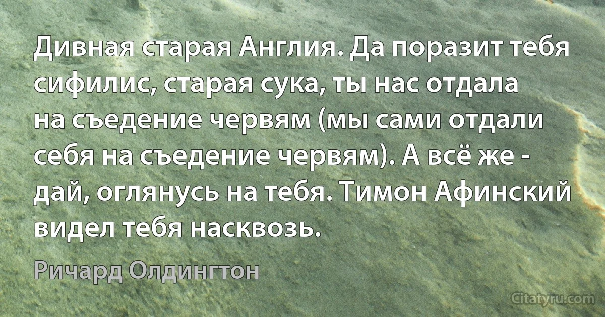 Дивная старая Англия. Да поразит тебя сифилис, старая сука, ты нас отдала на съедение червям (мы сами отдали себя на съедение червям). А всё же - дай, оглянусь на тебя. Тимон Афинский видел тебя насквозь. (Ричард Олдингтон)