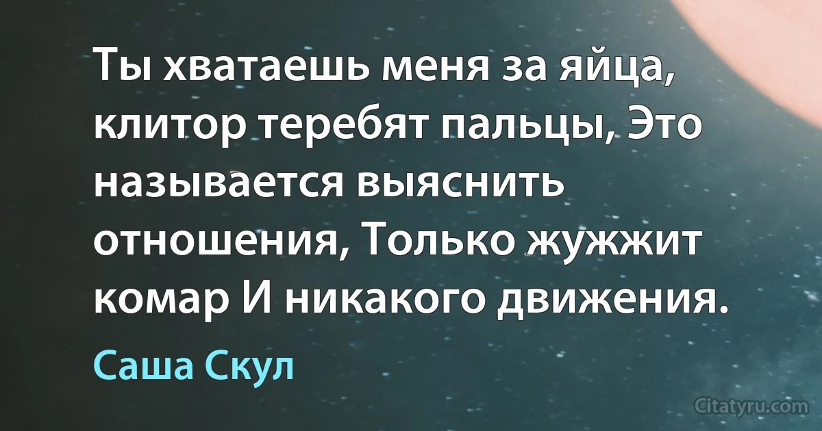 Ты хватаешь меня за яйца, клитор теребят пальцы, Это называется выяснить отношения, Только жужжит комар И никакого движения. (Саша Скул)