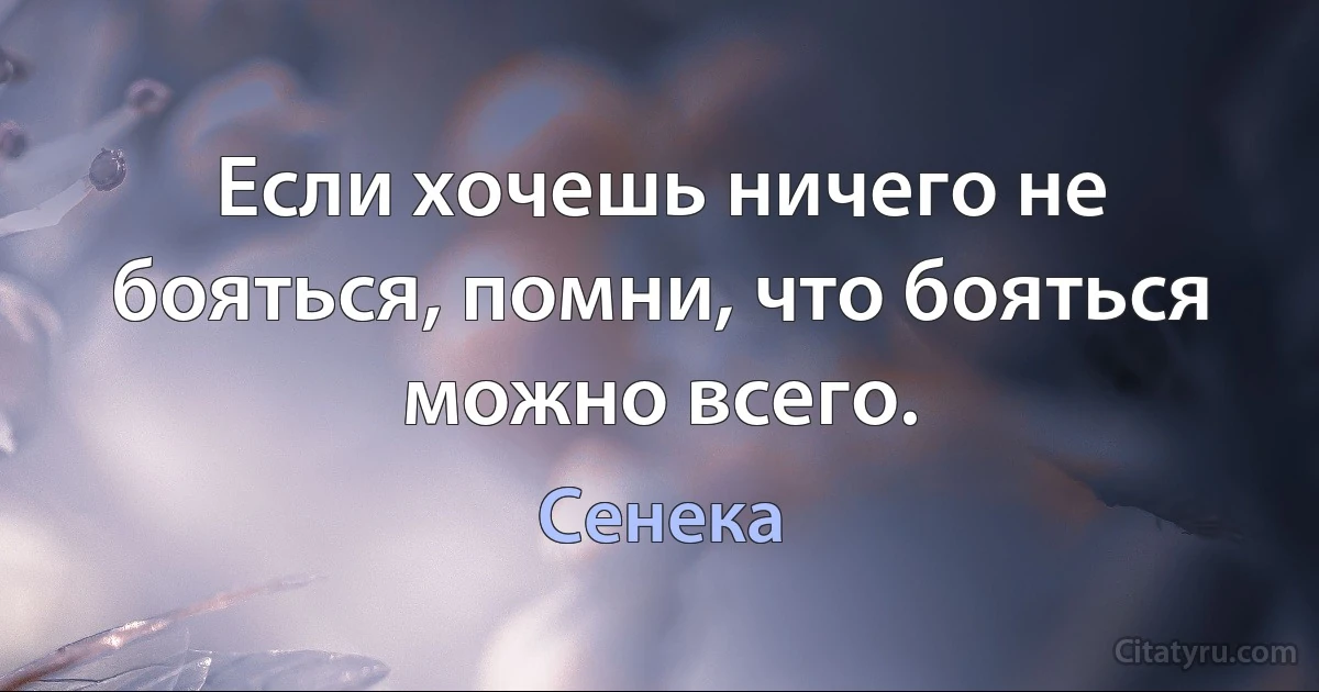 Если хочешь ничего не бояться, помни, что бояться можно всего. (Сенека)