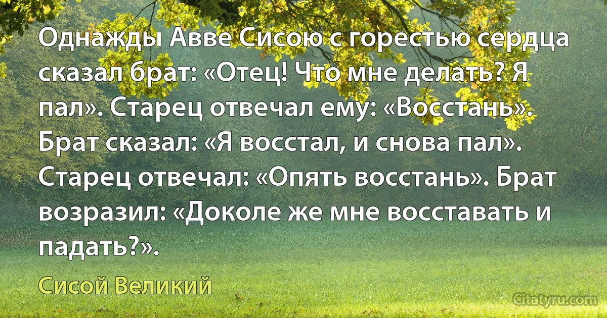 Однажды Авве Сисою с горестью сердца сказал брат: «Отец! Что мне делать? Я пал». Старец отвечал ему: «Восстань». Брат сказал: «Я восстал, и снова пал». Старец отвечал: «Опять восстань». Брат возразил: «Доколе же мне восставать и падать?». (Сисой Великий)