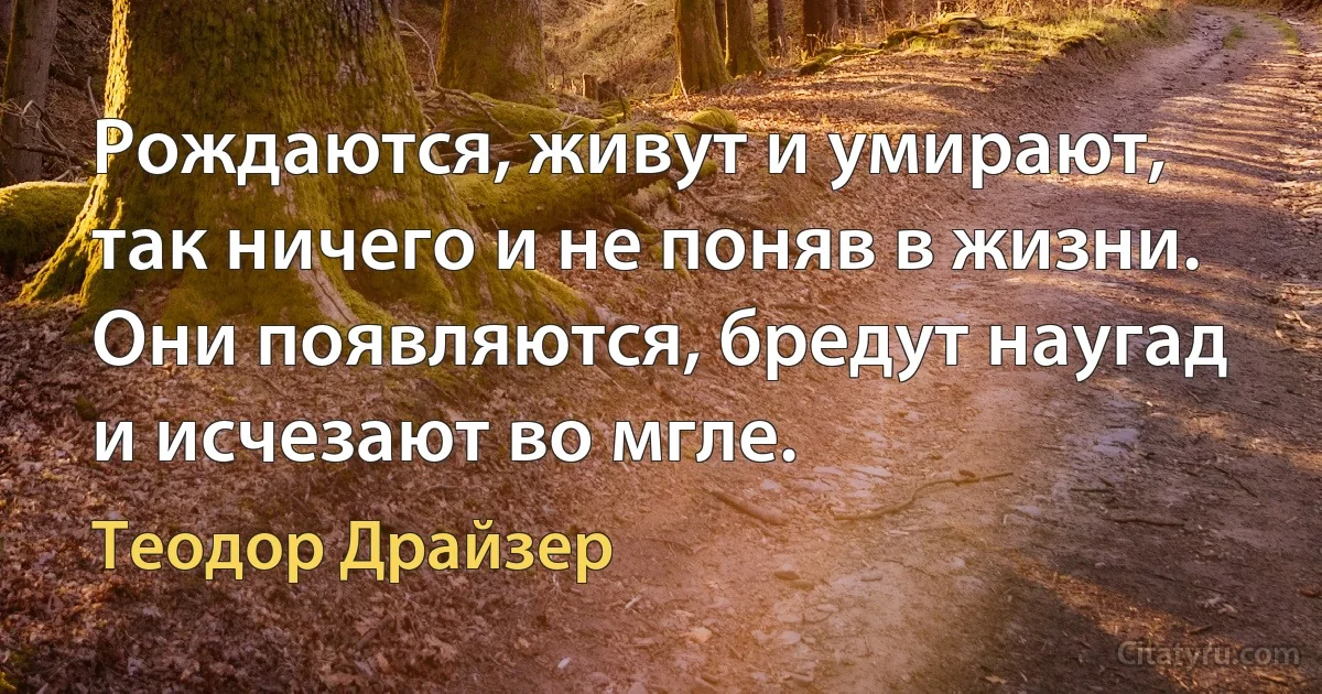 Рождаются, живут и умирают, так ничего и не поняв в жизни. Они появляются, бредут наугад и исчезают во мгле. (Теодор Драйзер)