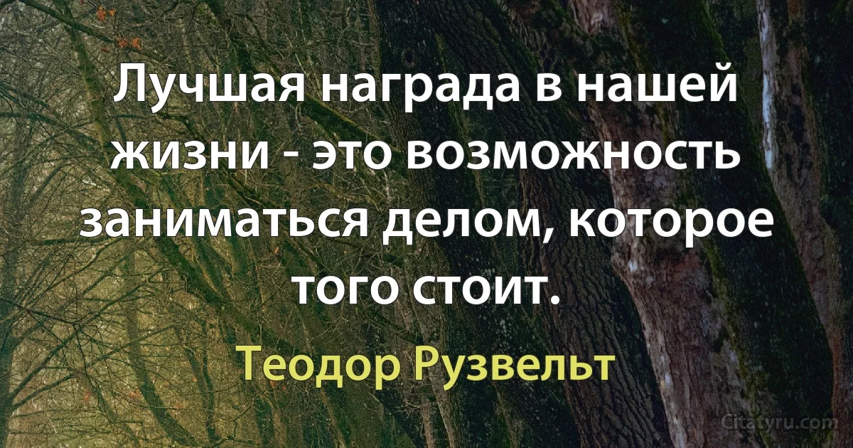 Лучшая награда в нашей жизни - это возможность заниматься делом, которое того стоит. (Теодор Рузвельт)