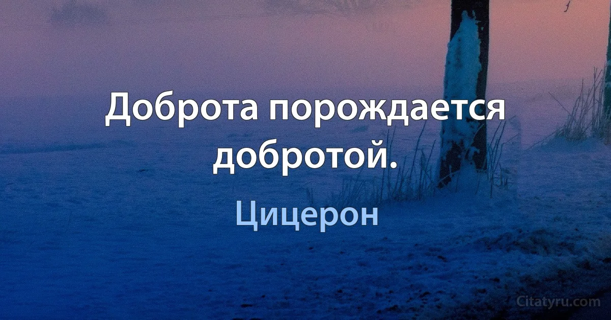 Доброта порождается добротой. (Цицерон)