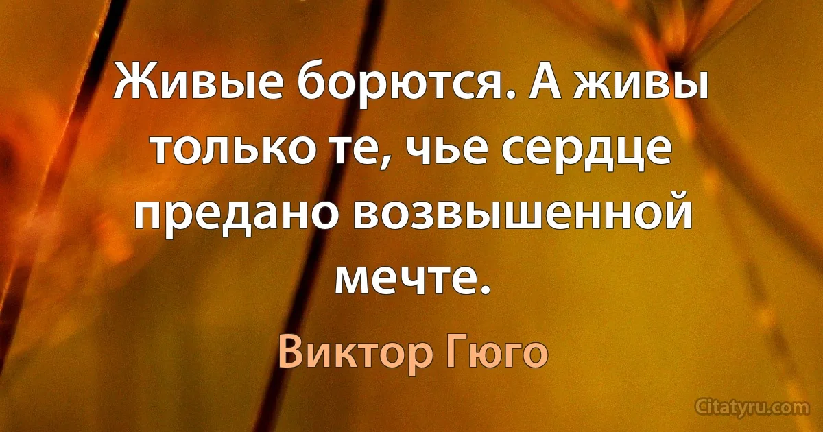 Живые борются. А живы только те, чье сердце предано возвышенной мечте. (Виктор Гюго)