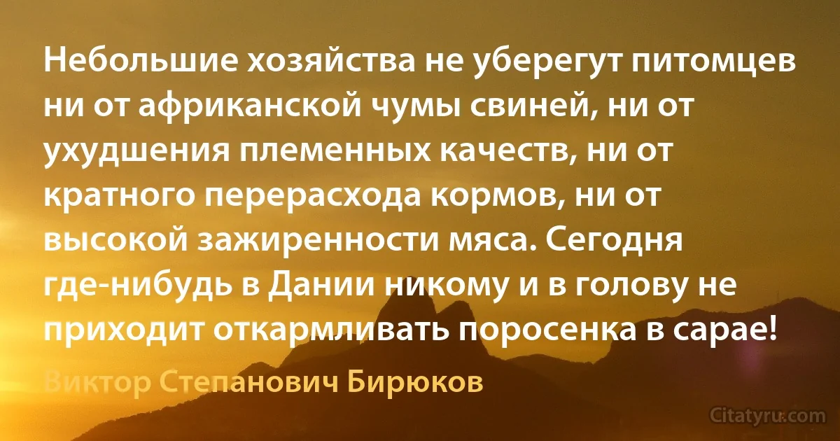 Небольшие хозяйства не уберегут питомцев ни от африканской чумы свиней, ни от ухудшения племенных качеств, ни от кратного перерасхода кормов, ни от высокой зажиренности мяса. Сегодня где-нибудь в Дании никому и в голову не приходит откармливать поросенка в сарае! (Виктор Степанович Бирюков)