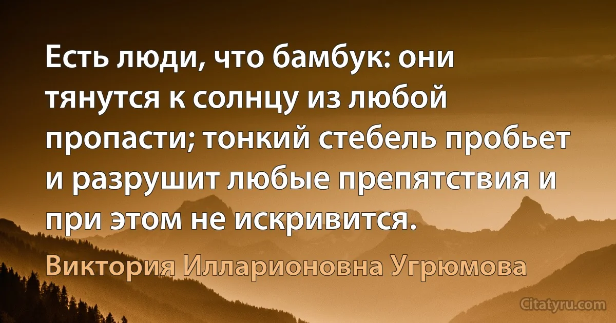 Есть люди, что бамбук: они тянутся к солнцу из любой пропасти; тонкий стебель пробьет и разрушит любые препятствия и при этом не искривится. (Виктория Илларионовна Угрюмова)