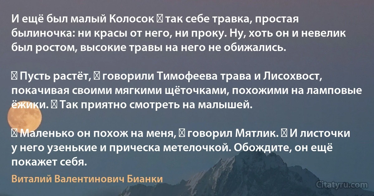 И ещё был малый Колосок ― так себе травка, простая былиночка: ни красы от него, ни проку. Ну, хоть он и невелик был ростом, высокие травы на него не обижались.

― Пусть растёт, ― говорили Тимофеева трава и Лисохвост, покачивая своими мягкими щёточками, похожими на ламповые ёжики. ― Так приятно смотреть на малышей.

― Маленько он похож на меня, ― говорил Мятлик. ― И листочки у него узенькие и прическа метелочкой. Обождите, он ещё покажет себя. (Виталий Валентинович Бианки)