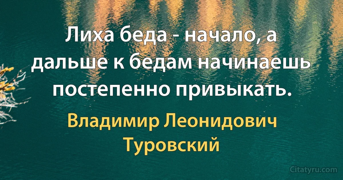 Лиха беда - начало, а дальше к бедам начинаешь постепенно привыкать. (Владимир Леонидович Туровский)