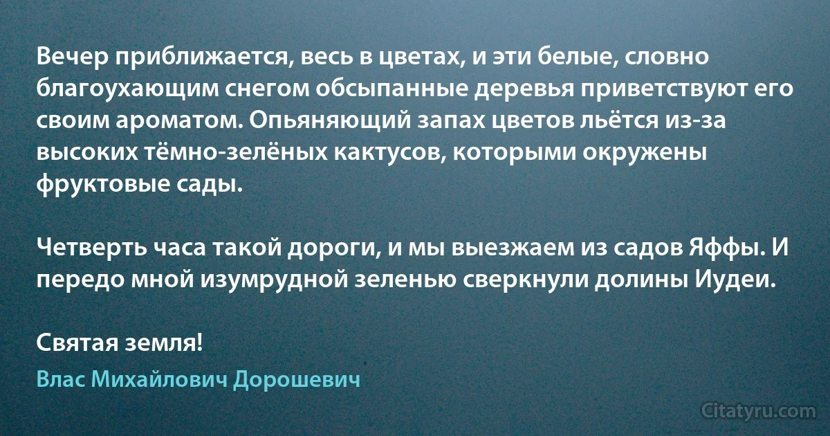 Вечер приближается, весь в цветах, и эти белые, словно благоухающим снегом обсыпанные деревья приветствуют его своим ароматом. Опьяняющий запах цветов льётся из-за высоких тёмно-зелёных кактусов, которыми окружены фруктовые сады.

Четверть часа такой дороги, и мы выезжаем из садов Яффы. И передо мной изумрудной зеленью сверкнули долины Иудеи.

Святая земля! (Влас Михайлович Дорошевич)