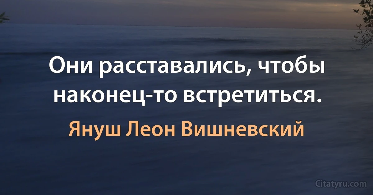 Они расставались, чтобы наконец-то встретиться. (Януш Леон Вишневский)