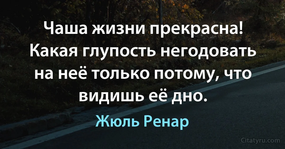 Чаша жизни прекрасна! Какая глупость негодовать на неё только потому, что видишь её дно. (Жюль Ренар)