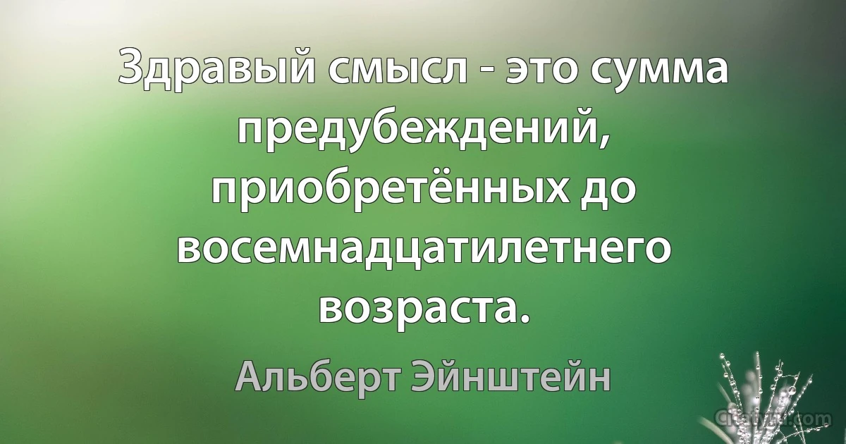 Здравый смысл - это сумма предубеждений, приобретённых до восемнадцатилетнего возраста. (Альберт Эйнштейн)