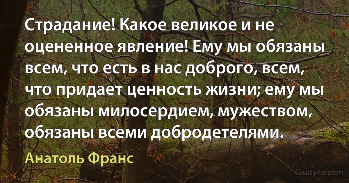 Страдание! Какое великое и не оцененное явление! Ему мы обязаны всем, что есть в нас доброго, всем, что придает ценность жизни; ему мы обязаны милосердием, мужеством, обязаны всеми добродетелями. (Анатоль Франс)