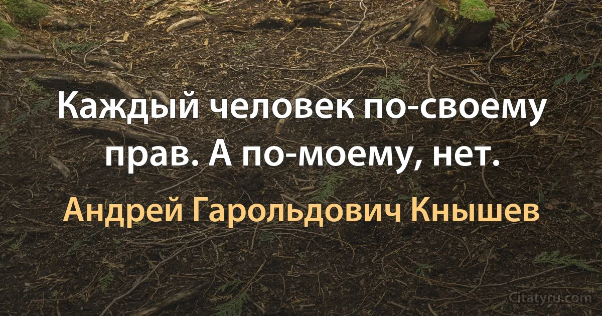 Каждый человек по-своему прав. А по-моему, нет. (Андрей Гарольдович Кнышев)