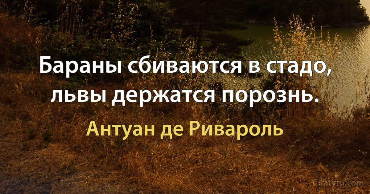 Бараны сбиваются в стадо, львы держатся порознь. (Антуан де Ривароль)