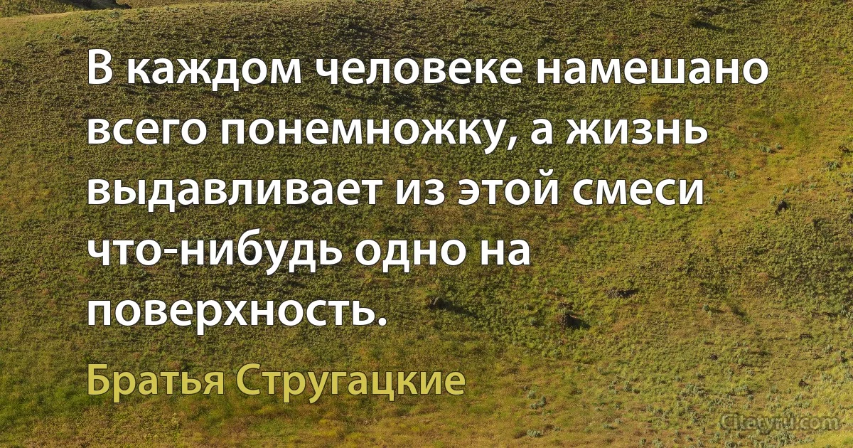 В каждом человеке намешано всего понемножку, а жизнь выдавливает из этой смеси что-нибудь одно на поверхность. (Братья Стругацкие)