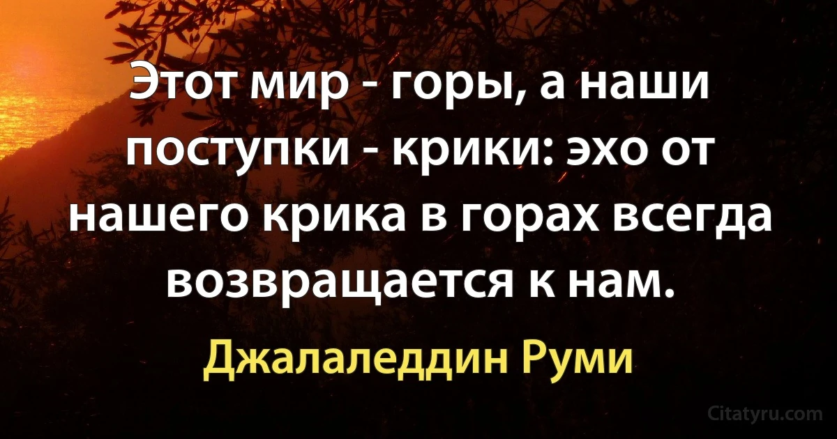 Этот мир - горы, а наши поступки - крики: эхо от нашего крика в горах всегда возвращается к нам. (Джалаледдин Руми)