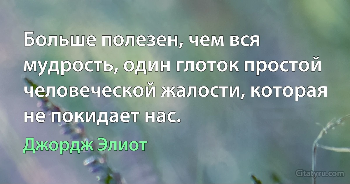 Больше полезен, чем вся мудрость, один глоток простой человеческой жалости, которая не покидает нас. (Джордж Элиот)