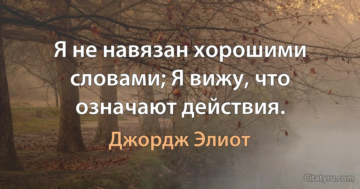 Я не навязан хорошими словами; Я вижу, что означают действия. (Джордж Элиот)