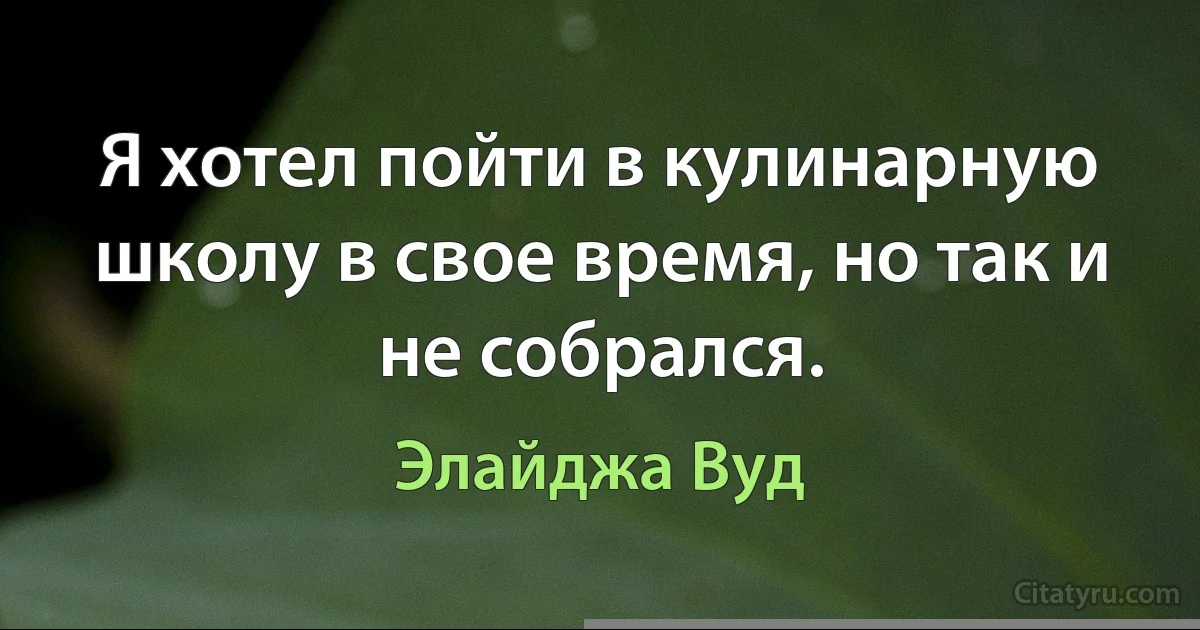 Я хотел пойти в кулинарную школу в свое время, но так и не собрался. (Элайджа Вуд)