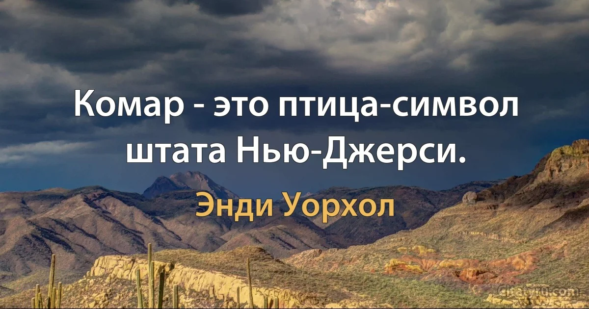 Комар - это птица-символ штата Нью-Джерси. (Энди Уорхол)