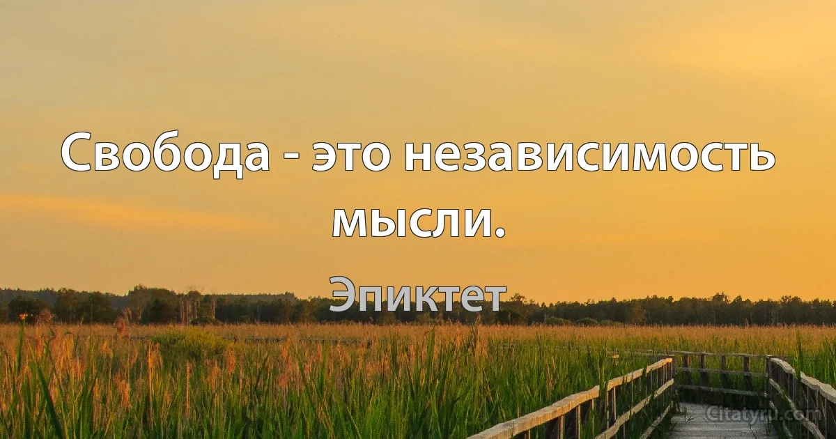 Свобода - это независимость мысли. (Эпиктет)