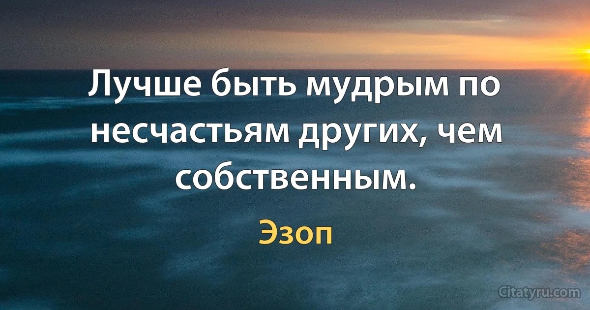 Лучше быть мудрым по несчастьям других, чем собственным. (Эзоп)