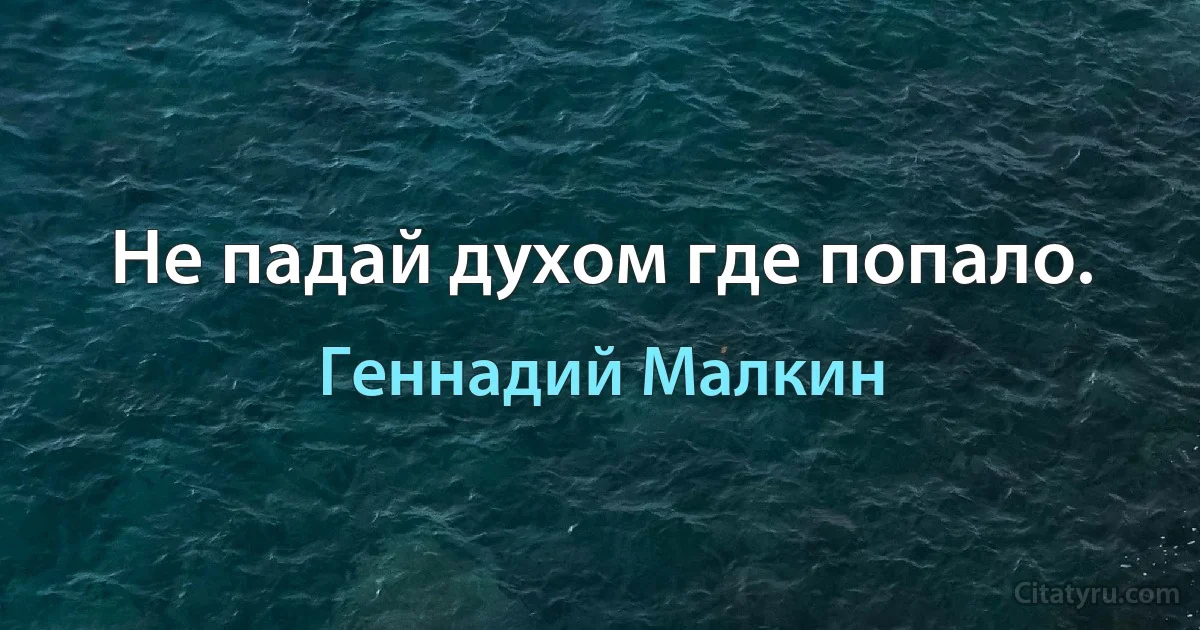 Не падай духом где попало. (Геннадий Малкин)