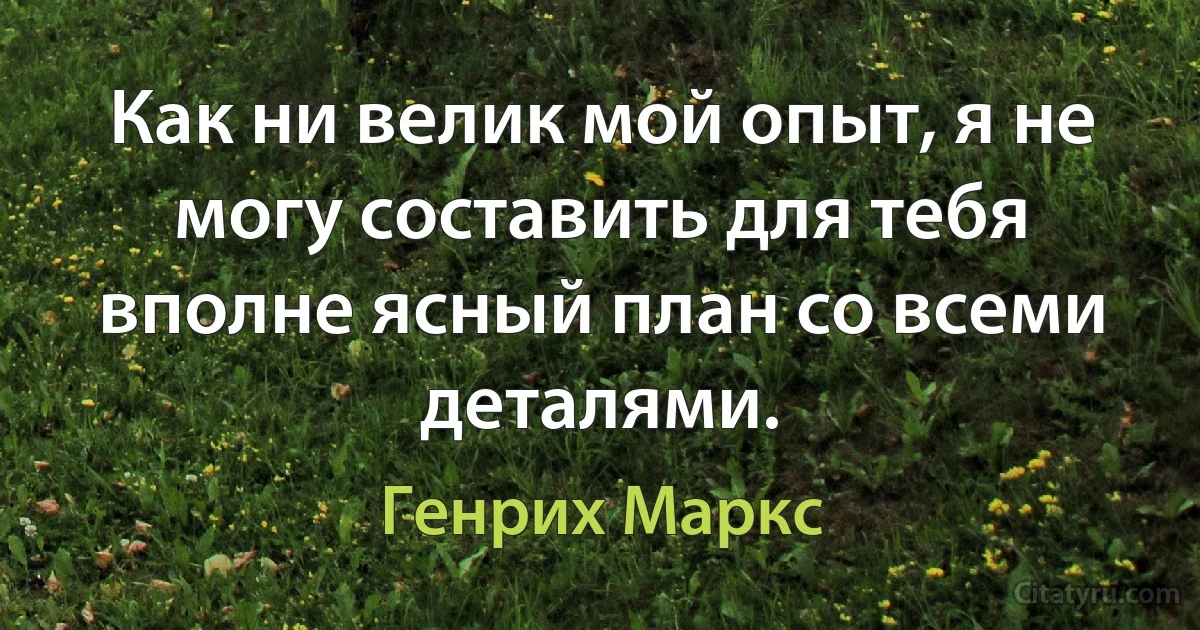 Как ни велик мой опыт, я не могу составить для тебя вполне ясный план со всеми деталями. (Генрих Маркс)