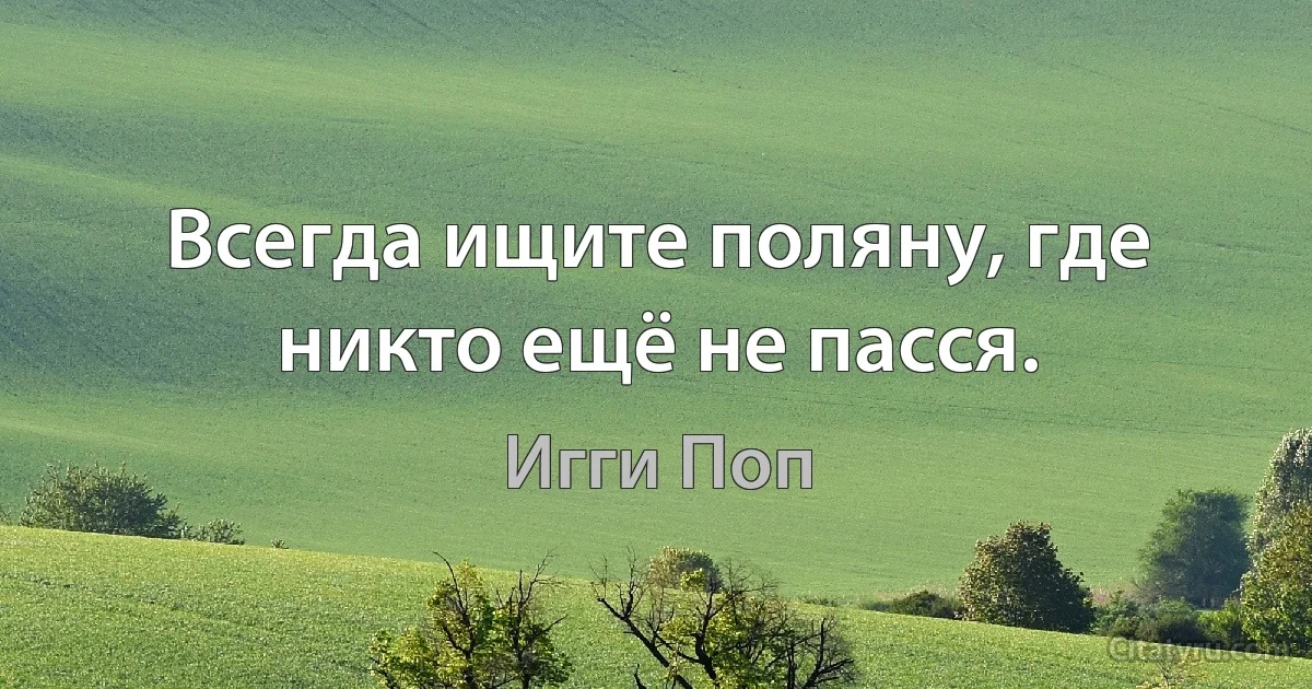 Всегда ищите поляну, где никто ещё не пасся. (Игги Поп)