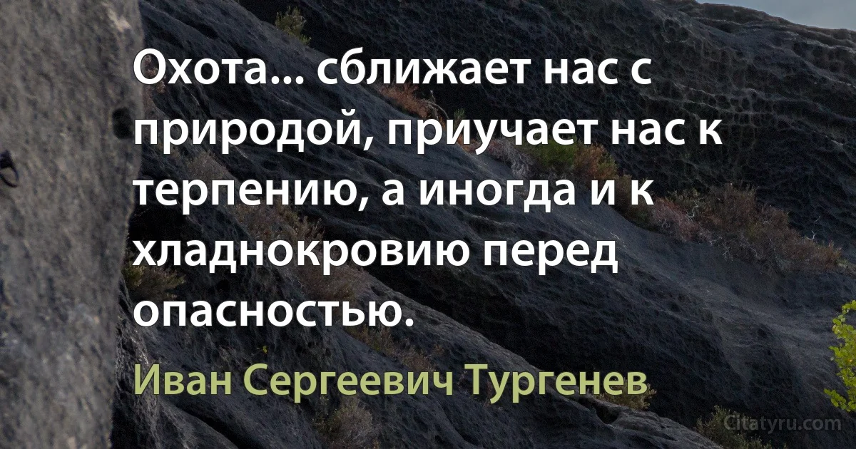 Охота... сближает нас с природой, приучает нас к терпению, а иногда и к хладнокровию перед опасностью. (Иван Сергеевич Тургенев)