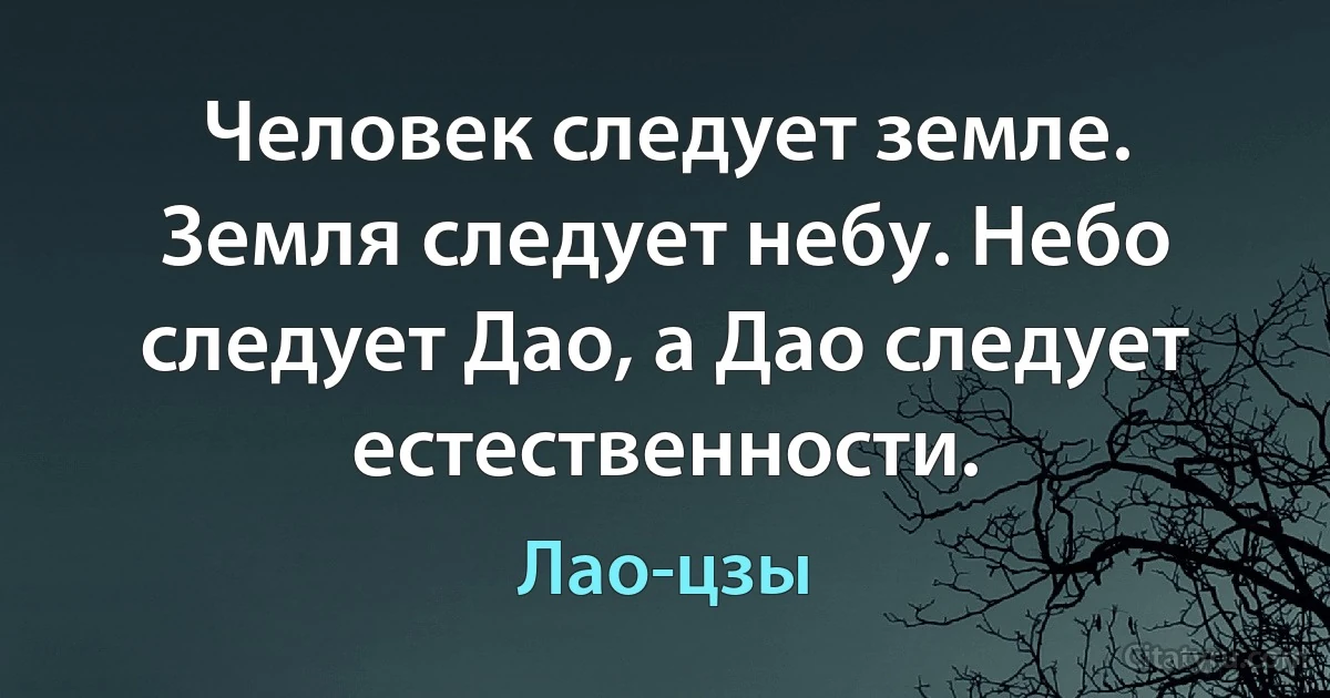 Человек следует земле. Земля следует небу. Небо следует Дао, а Дао следует естественности. (Лао-цзы)