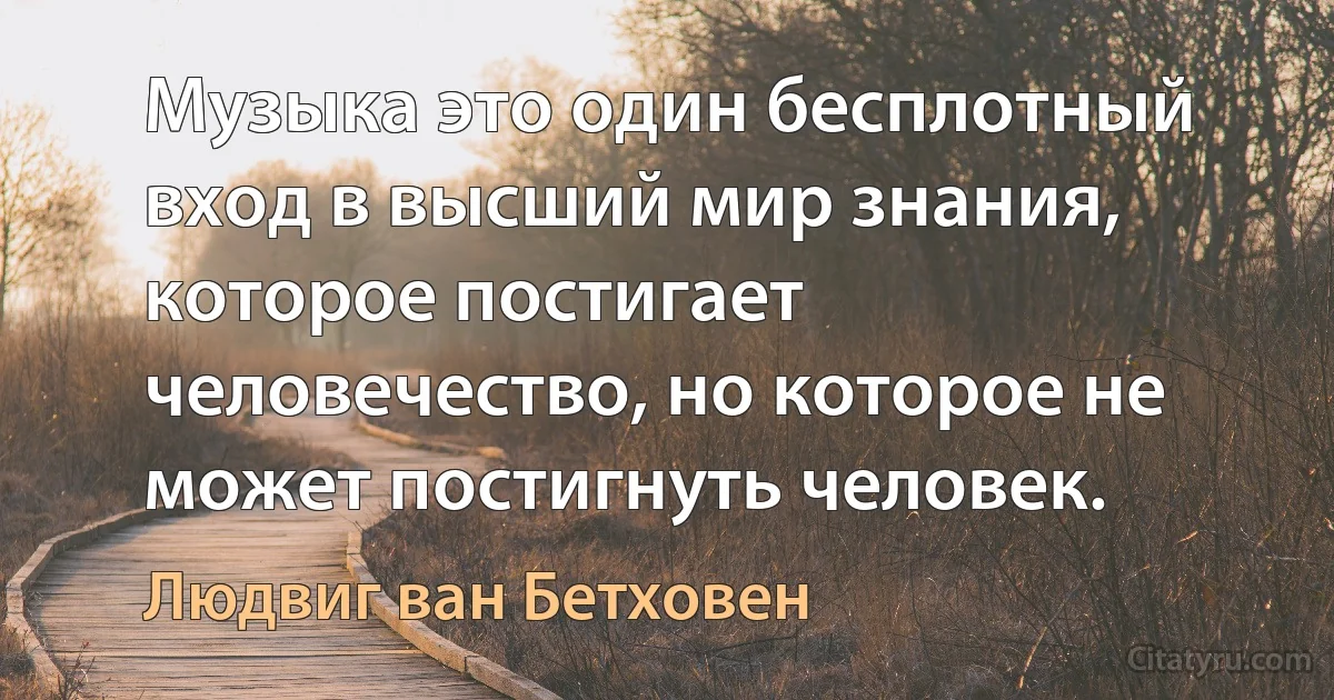 Музыка это один бесплотный вход в высший мир знания, которое постигает человечество, но которое не может постигнуть человек. (Людвиг ван Бетховен)