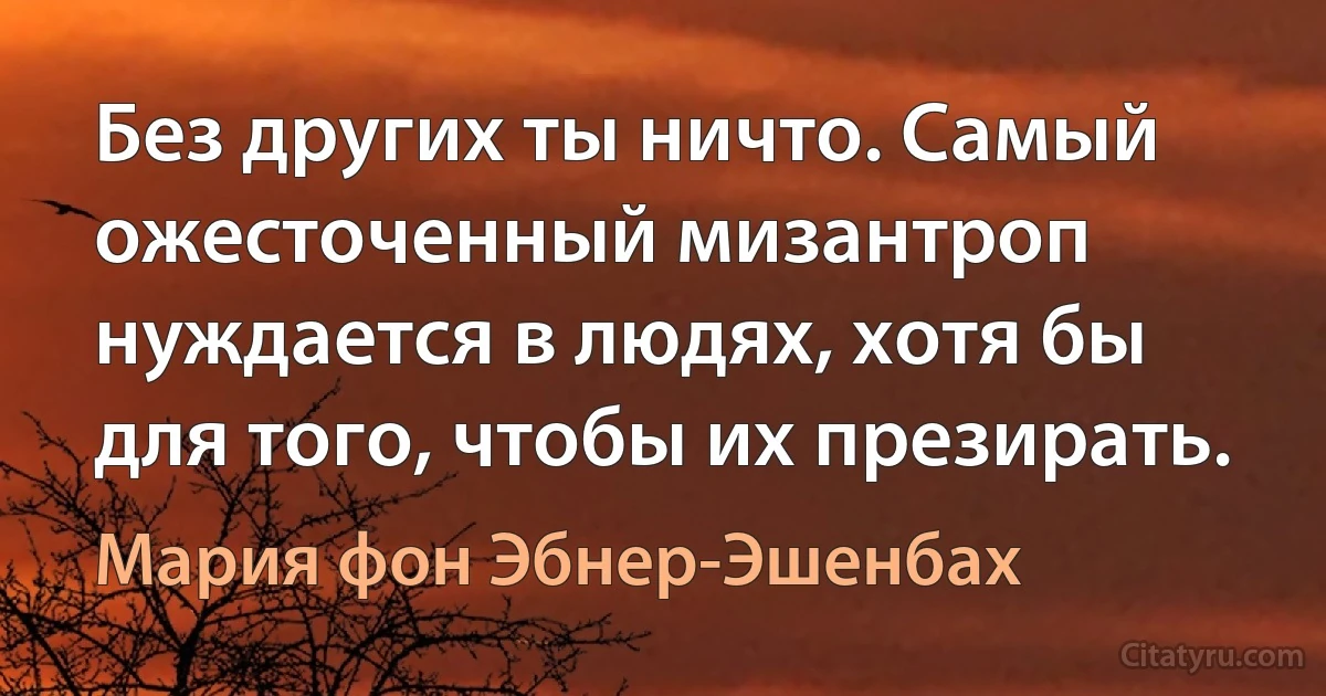 Без других ты ничто. Самый ожесточенный мизантроп нуждается в людях, хотя бы для того, чтобы их презирать. (Мария фон Эбнер-Эшенбах)