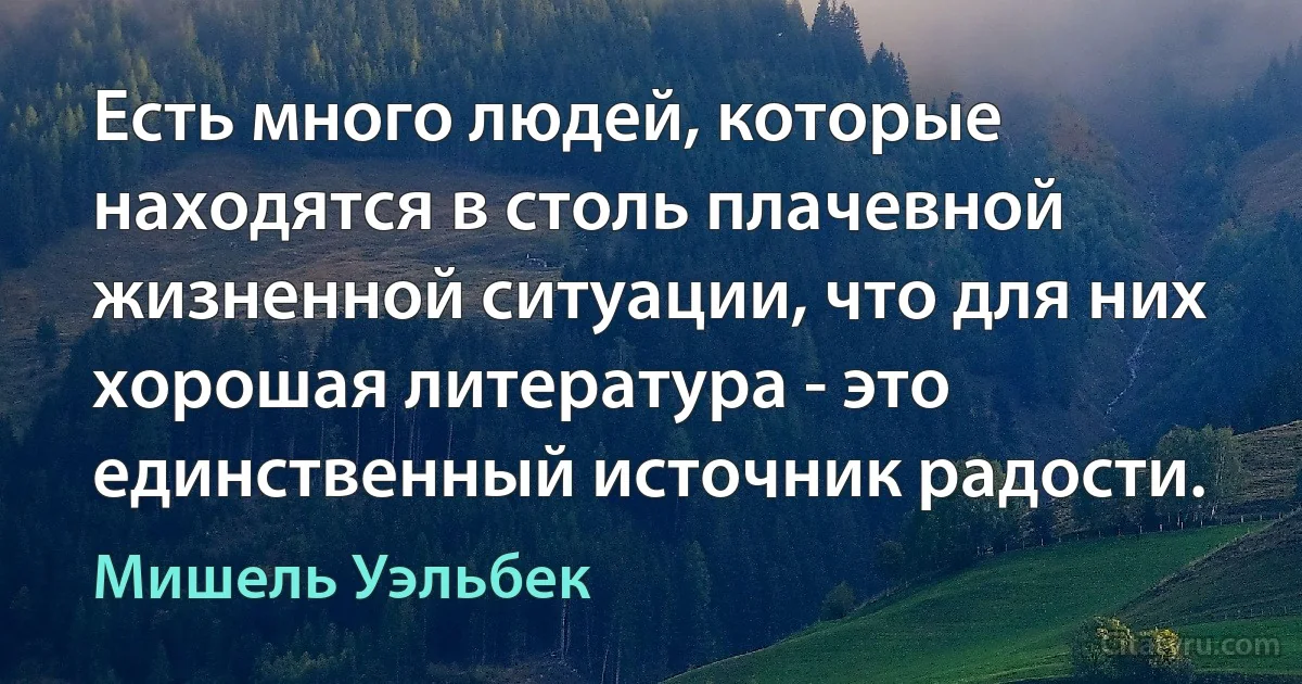 Есть много людей, которые находятся в столь плачевной жизненной ситуации, что для них хорошая литература - это единственный источник радости. (Мишель Уэльбек)