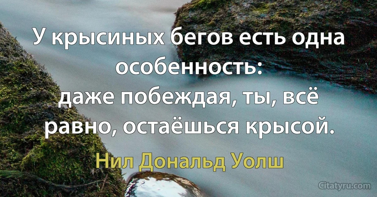 У крысиных бегов есть одна особенность:
даже побеждая, ты, всё равно, остаёшься крысой. (Нил Дональд Уолш)