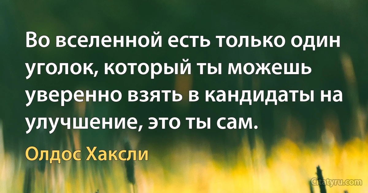 Во вселенной есть только один уголок, который ты можешь уверенно взять в кандидаты на улучшение, это ты сам. (Олдос Хаксли)