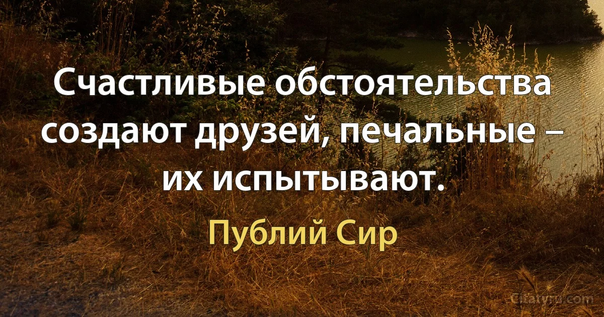 Счастливые обстоятельства создают друзей, печальные – их испытывают. (Публий Сир)