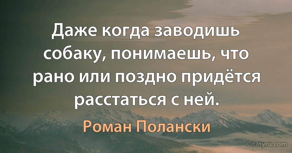 Даже когда заводишь собаку, понимаешь, что рано или поздно придётся расстаться с ней. (Роман Полански)