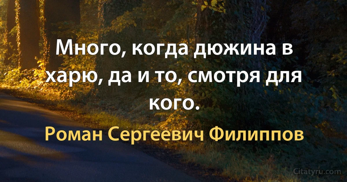 Много, когда дюжина в харю, да и то, смотря для кого. (Роман Сергеевич Филиппов)